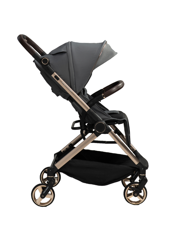 Bueno Beluga DriftX AWD Two-Way Stroller