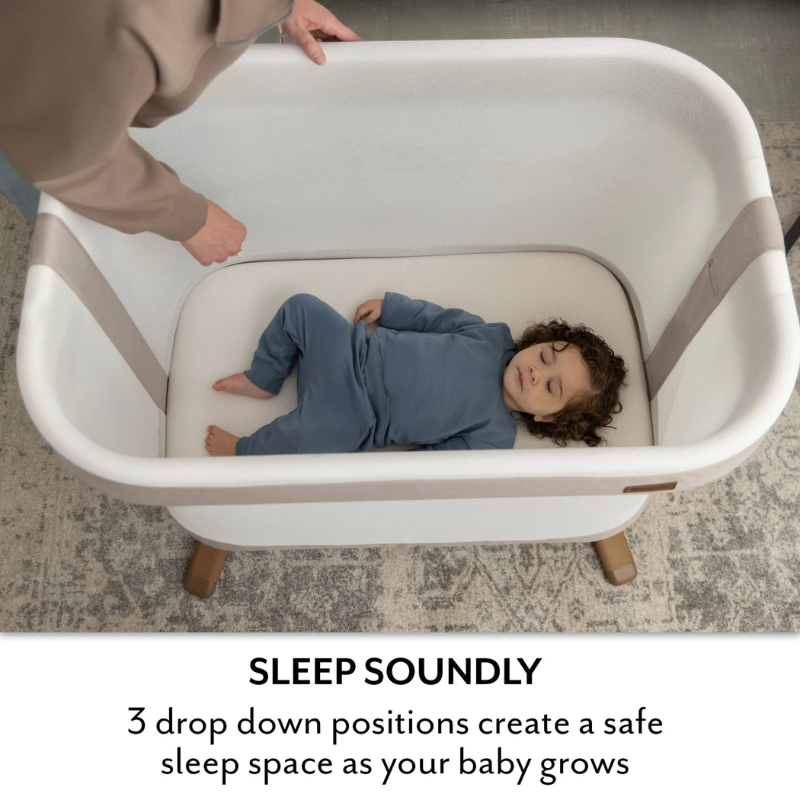 Evenflo Cora 3-Level Adjustable Baby Bassinet