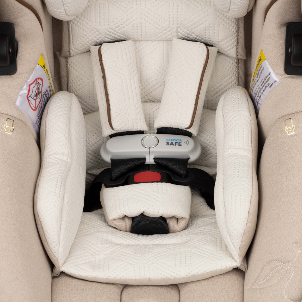 LIMITED EDITION Evenflo Shyft Dualride Infant Car Seat Stroller Combo With Green & Gentle Fabric
