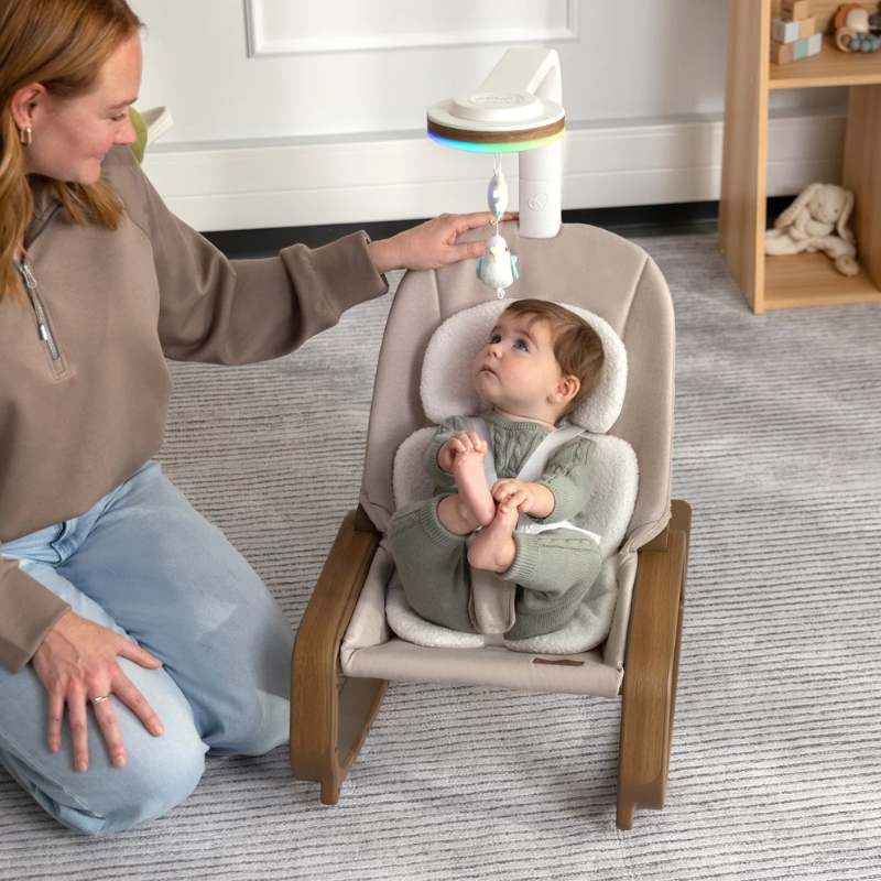 Evenflo Lyra 2-in-1 Infant To Toddler Baby Rocker