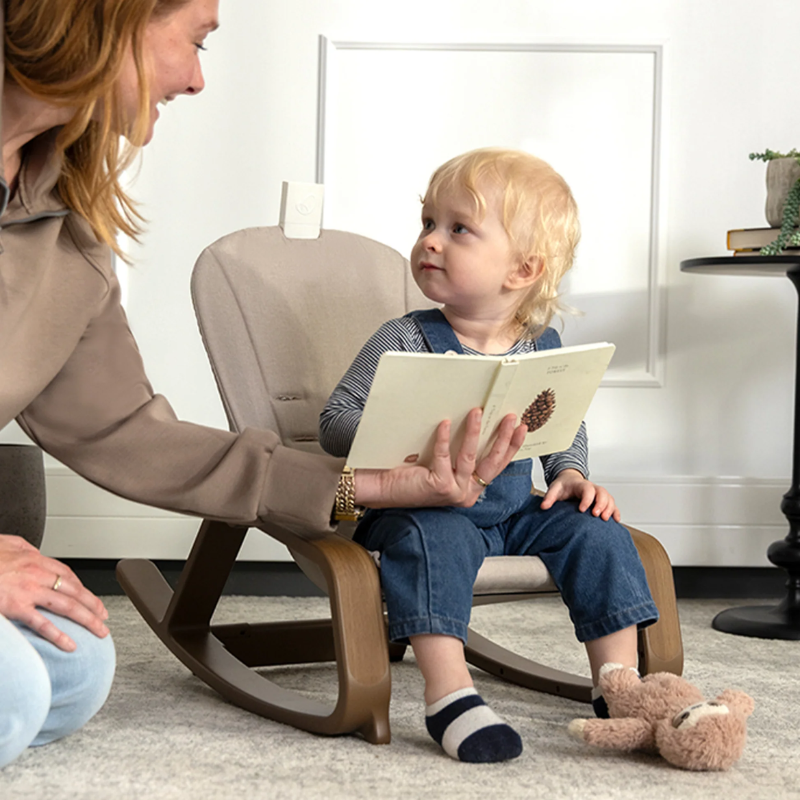Evenflo Lyra 2-in-1 Infant To Toddler Baby Rocker