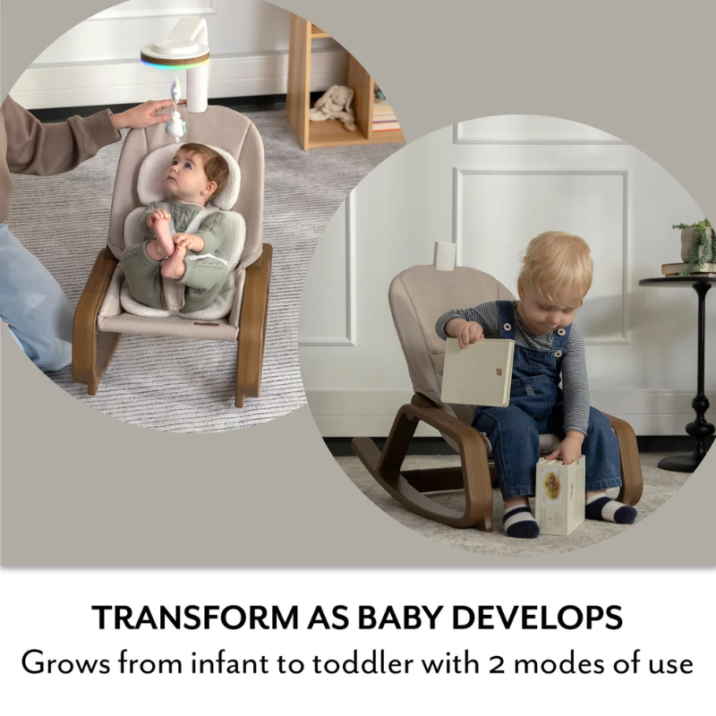 Evenflo Lyra 2-in-1 Infant To Toddler Baby Rocker