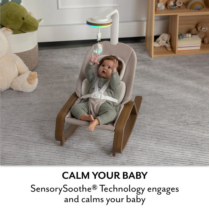 Evenflo Lyra 2-in-1 Infant To Toddler Baby Rocker