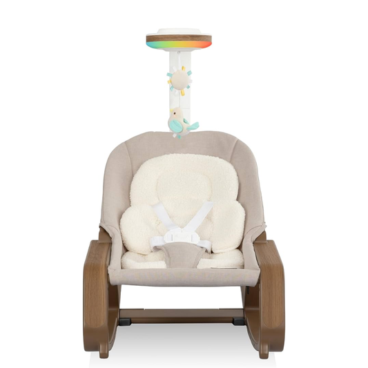Evenflo Lyra 2-in-1 Infant To Toddler Baby Rocker