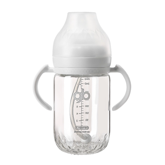 gb Platinum Series Feeding Bottle